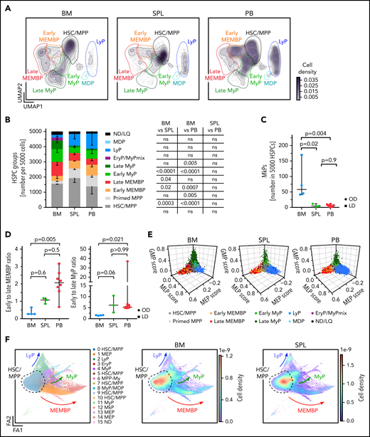 Distinct HSPC composition in BM, spleen (SPL), and PB. (A-E) Analysis of 10X scRNA-seq data from 117 200 cells, combining all donors but comparing different tissues (BM, 34 967 cells; SPL, 22 068 cells; PB, 60 165 cells). (A) Two-dimensional kernel density of cells across the Uniform Manifold Approximation and Projection (UMAP) coordinates of each tissue, displayed as contours filled by a color gradient. (B) Bar graph of the relative composition of HSPC groups in BM, SPL, and PB. Each group was defined as shown in Figure 1. Mean ± standard deviation is shown. (C) Relative number of megakaryocyte progenitors (MkPs) (cluster 22) in each tissue. (D) The ratio of early to late progenitors of the MEMB (left) or My (right) branch is shown. Kruskal-Wallis; Dunn’s multiple comparison test. (E) Three-dimensional plots show lineage scores as in Figure 1B for each tissue. (F) Force Directed Graph computed by using CITE-seq protein data of 2 BM (OD3, 9 477 cells; OD4, 12 500 cells) and 1 SPL (OD4, 11 822 cells). Left, Leiden clusters as annotated based on known surface marker expression (supplemental Figure 2D). Right: density visualization of the distinct cell distributions for each tissue in different areas of the landscape. For panels B and C, 1-way analysis of variance with post hoc Tukey test, except for LyP and EryP/MyPmix clusters (not normally distributed, italic text), for which a Kruskal-Wallis test with Dunn’s multiple comparison was used. Data in panels C and D are given as median ± 95% confidence interval. OD, organ donors; LD, living donor; ns, not significant (P > .05).