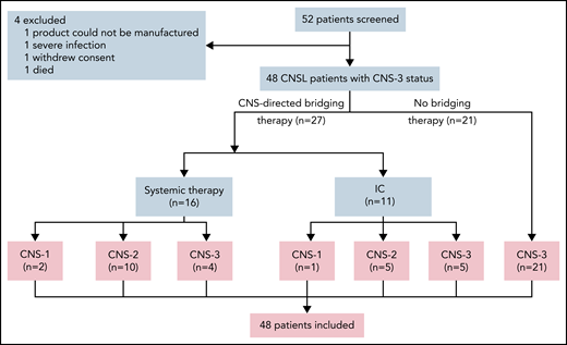 Screening and enrollment of patients. Fifty-two patients with R/R B-ALL with CNSL were screened for eligibility between November 2016 and April 2021 in the study. CNS-directed bridging therapy included systemic chemotherapy (high-dose methotrexate; range, 3-5 g/m2) and triple intrathecal chemotherapy (IC; 10 mg of methotrexate, 50 mg of cytarabine, and 5 mg of dexamethasone each time). Patients were categorized as CNS-1 (n = 3), CNS-2 (n = 15), and CNS-3 status (n = 30) by the last assessment before CAR T-cell infusion. A total of 48 patients received CAR T-cell infusion and were included in the analysis for response evaluation, survival, and toxicity assessment.