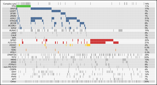 Mutations present at the time of diagnosis. Shown are all mutations present at the time of AML diagnosis in the 295 patients in the cohort. Every patient is represented in an individual column, whereas genes and other AML features are listed in rows. Mutations are sorted by molecular ontogeny,4 with TP53 mutations listed first in green, secondary-type mutations (implying evolution from an antecedent MDS) in blue, and all other mutations (pan-AML/de novo type) below. NPM1 mutations and internal tandem duplications in FLT3 (FLT3-ITD) are in red, and DDX41 mutations are in gold. Complex cytogenetics are shown (top) above the TP53 mutations. The proportion of patients in the cohort with each alteration is reported on the right.
