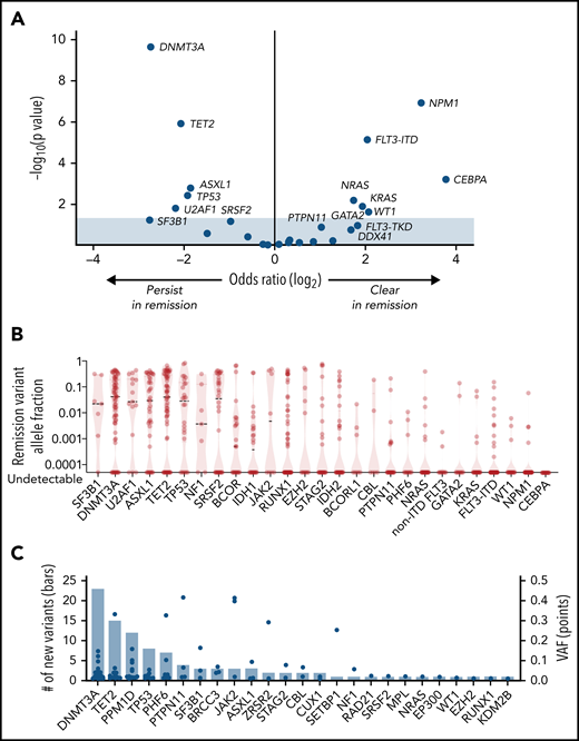Characteristics of remission mutations. (A) Results of Fisher’s exact test for clearance or persistence of each gene, plotting the odds of clearance on the x-axis and significance, expressed as the negative log of the uncorrected P value, on the y-axis. Shown are mutations that are more likely to persist at remission (left) and those that are more likely to clear (right). (B) VAF of remission mutations. Median VAF is denoted by the dashed lines, and the range is indicated by the red violin plot for each gene. A version of this figure that excludes the 26 mutations with VAF < 0.001 is in supplemental Figure 3. (C) The number (left y-axis) and VAF (right y-axis) of mutations present at remission that were not detected at diagnosis, in descending order of frequency. VAFs are represented by blue dots and the total number of mutations is represented by the bars.