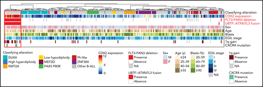 Summary oncoplot highlighting the main features of CDX2/UBTF ALL within the whole RNA-seq cohort. Classifying alterations, sex, age, blast percentage, and immunophenotypic classification according to European Group for the Immunological Classification of Leukaemia (EGIL); 1q gain and CXCR4 mutations are indicated. CDX2 expression is indicated in color scale from RNA-seq data. FLT3-PAN3 deletion corresponds to the 13q12.2 deletion involving FLT3 and PAN3 promoters and exon 1 (excluding 13q12.2 deletion sparing FLT3). UBTF::ATXN7L3 fusion indicates the presence of the fusion transcript as detected on RNA-seq data.