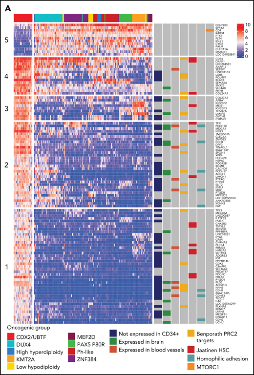 Transcriptional signature and genomic landscape of CDX2/UBTF ALL. (A) Heatmap representing biclustering of gene expression from the major subtypes in the RNA-seq cohort (excluding unclassified cases). Genes were selected after comparison between expression means (fold change >3, P < 10−7) resulting in a list of 110 genes (supplemental Table 7). Annotations on the right are derived from selected gene set enrichment analyses (GSEA) shown in (B) and expression data from The Human Cell Atlas Bone Marrow Single-Cell Interactive Web Portal (http://www.altanalyze.org/ICGS/HCA/splash.php) and the TSEA atlas (genetics.wustl.edu/jdlab/tsea/) (B) Selected GSEA for genes expressed in CDX2/UBTF ALL as compared with other cases, showing significant enrichment in genes regulated by the Polycomb repressive complex 2 (PRC2), genes expressed in cord blood–derived CD133+ cells enriched in hematopoietic stem cells, genes involved in homophilic cell-cell adhesion, and genes expressed in a subset of embryonic neurons. The differential gene list is negatively enriched in genes upregulated through mTORC1 signaling and E2F target genes. GSEA core genes are listed in supplemental Table 11. (C) Copy-number alterations in CDX2/UBTF ALL as determined by array-CGH analysis (n = 20). (D) Heatmap of recurrent alterations in CDX2/UBTF cases as determined by array-CGH and targeted sequencing (n = 26), with frequencies of altered cases indicated on the left. *Cases with low blast infiltration (ie, <30%), with possibly focal copy-number alterations overlooked. TSEA, tissue specific expression analysis.