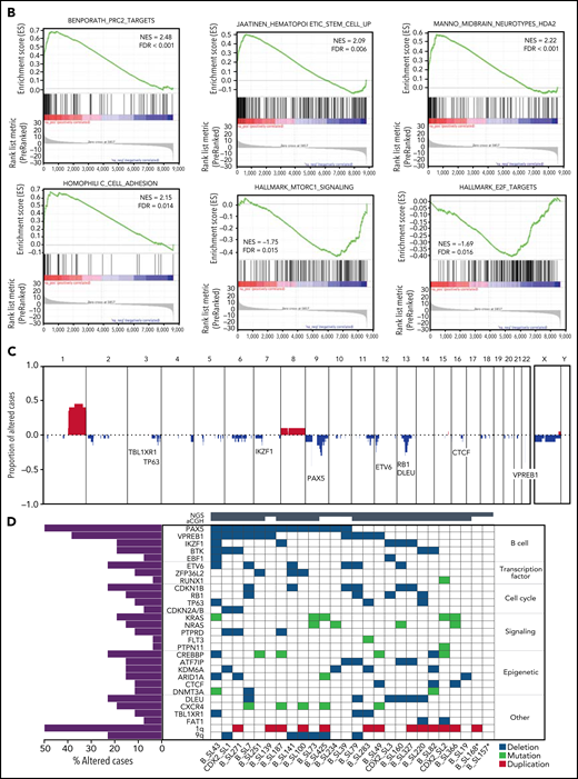 Transcriptional signature and genomic landscape of CDX2/UBTF ALL. (A) Heatmap representing biclustering of gene expression from the major subtypes in the RNA-seq cohort (excluding unclassified cases). Genes were selected after comparison between expression means (fold change >3, P < 10−7) resulting in a list of 110 genes (supplemental Table 7). Annotations on the right are derived from selected gene set enrichment analyses (GSEA) shown in (B) and expression data from The Human Cell Atlas Bone Marrow Single-Cell Interactive Web Portal (http://www.altanalyze.org/ICGS/HCA/splash.php) and the TSEA atlas (genetics.wustl.edu/jdlab/tsea/) (B) Selected GSEA for genes expressed in CDX2/UBTF ALL as compared with other cases, showing significant enrichment in genes regulated by the Polycomb repressive complex 2 (PRC2), genes expressed in cord blood–derived CD133+ cells enriched in hematopoietic stem cells, genes involved in homophilic cell-cell adhesion, and genes expressed in a subset of embryonic neurons. The differential gene list is negatively enriched in genes upregulated through mTORC1 signaling and E2F target genes. GSEA core genes are listed in supplemental Table 11. (C) Copy-number alterations in CDX2/UBTF ALL as determined by array-CGH analysis (n = 20). (D) Heatmap of recurrent alterations in CDX2/UBTF cases as determined by array-CGH and targeted sequencing (n = 26), with frequencies of altered cases indicated on the left. *Cases with low blast infiltration (ie, <30%), with possibly focal copy-number alterations overlooked. TSEA, tissue specific expression analysis.