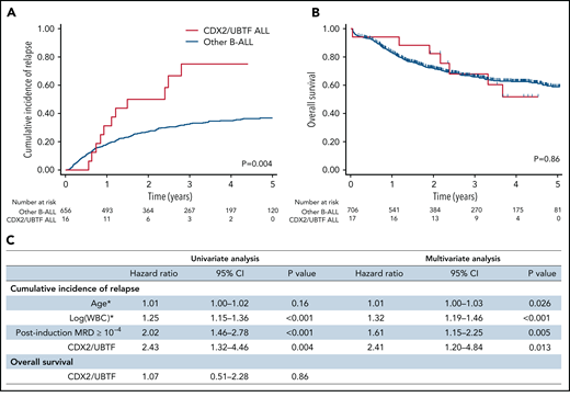 Outcome analyses of CDX2/UBTF ALL patients. Cumulative incidence of relapse (A) and OS (B) Kaplan-Meier curves for B-ALL patients enrolled in GRAALL-2005/2014 trials according to CDX2/UBTF ALL status. (C) Univariate and multivariate outcome analyses for CDX2/UBTF ALL patients. *Continuous variables. WBC, white blood cell count.