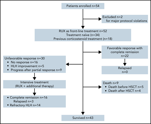 Summary of patient disposition. The data cutoff was 1 October 2021. A total of 54 patients were enrolled in this clinical trial, but 2 patients were excluded for major protocol violations, data of which were not included in the analysis of this study.