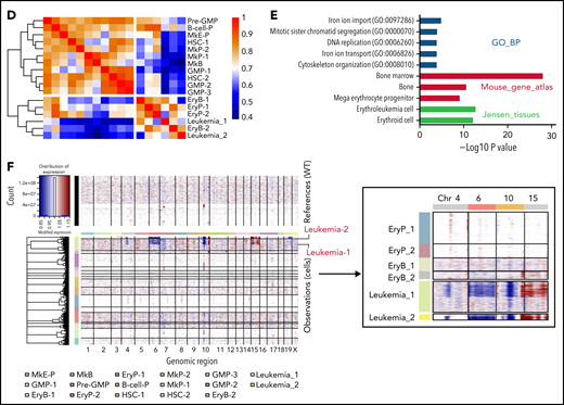 Dynamic changes in Jak2V617F/+Trp53−/− HSPCs occur during leukemogenesis. (A) Heat map of top representative genes (top 30 genes) for each cluster from single-cell expression profiles. Gene expression profiles of selected marker genes were used to assign cell classification. Columns represent individual cells; rows represent genes. (B) Average expression levels of conventional surface marker genes Ptprc (CD45), Cd34 (CD34), Fcgr3 (CD16), Fcgr2b (CD32), Tfrc (CD71), and Itga2b (CD41) for single cells in each cluster. Cell clusters were labeled and colored by cell type names: 1, hematopoietic stem cells-1 (HSC-1); 2, HSC-2; 3, Pre-GMP; 4, GMP-1; 5, GMP-2; 6, GMP-3; 7, megakaryocyte-erythroid progenitor (MkE-P); 8, EryP-1; 9, EryP-2; 10, erythroid blast-1 (EryB-1); 11, EryB-2; 12, leukemia-1; 13, leukemia-2; 14, megakaryocyte progenitor-1 (MkP-1); 15, MkP-2; 16, megakaryocyte blast (MkB); and 17, B-cell progenitor (B-cell-P). Dot plot displays average gene expression of surface marker genes for identification of a cluster cell type. The color key from white to red indicates low to high average gene expression level, respectively. The dot size indicates percentage of cells expressing a certain marker. (C) Unsupervised graph-based clustering of scRNA-seq data set projected onto a t-distributed stochastic neighbor embedding (t-SNE) plot displaying distinct clusters. A total of 29 029 cells were clustered in the left panel. Each point represents an individual cell. Cell clusters were labeled and colored according to cell type (HSPC subpopulations and leukemic population). In the right panel, t-SNE plot displays subpopulations of HSPCs and leukemic population in a WT, JVF, a pre-PEL JVFP−/−, and a PEL JVFP−/− mouse. (D) Heat map of hierarchical clustering of Pearson correlation coefficients between clusters. All coefficients based on the average normalized scRNA-seq data in each cluster. (E) Enrichment analysis of Gene Ontology (GO) and pathways associated with upregulated genes in leukemia cells relative to erythroid progenitors and blasts. (F) Inferred CNA profiles from scRNA-seq data. Chromosomal gains (red) and deletion (blue) are inferred by averaging expression over 100-gene stretches on the respective chromosomes (columns) across the single cells (rows). Top: cells from a WT mouse as reference cells not expected to contain CNVs. Bottom: cells tested for CNAs relative to the reference cells. Zoom in of CNA profiles for leukemia, EryP, and EryB groups on chromosome 4, 6, 10, and 15 (right).