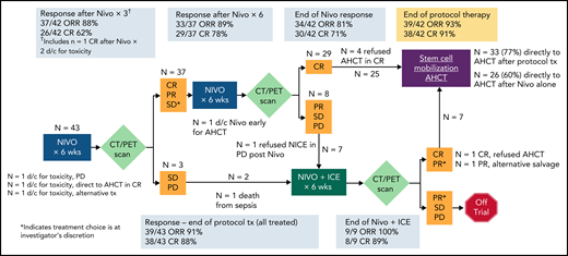 CONSORT diagram, treatment schema, and patient response data.