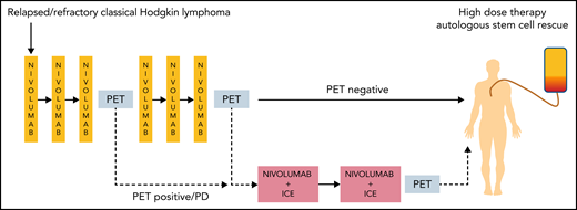 Adaptive treatment scheme, using FDG-PET to determine whether patients proceed to HDCT after nivolumab alone or combination chemoimmunotherapy. PD, progressive disease.