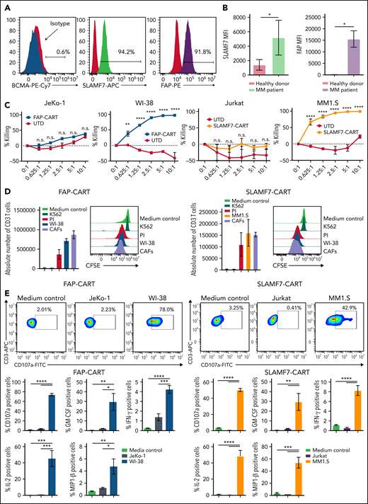 Targeting BM-CAFs and malignant cells overcome BM-CAF–induced CART-cell dysfunction. (A) CD45– CD38– FSP-1+ cells expressed SLAMF7 and FAP but not BCMA; n = 3. (B) SLAMF7 and FAP were not expressed in CD45– cells from healthy donor BM (*P < .05, unpaired, two-sided t test); n = 4. (C) FAP-CART cells were cocultured with luciferase+FAP+WI-38. At 24 hours, cytotoxicity was assessed by luminescence relative to controls. SLAMF7-CART cells were coincubated with luciferase+ MM1.S JeKo-1 or Jurkat (negative control) cell lines (mean and SEM; **P = .01, ****P < .0001, two-way analysis of variance; n = 3, two replicates). (D) Carboxyfluorescein diacetate succinimidyl ester (CFSE)-labeled FAP- or SLAMF7-CART cells were cocultured with irradiated WI-38 (for FAP-CART cells), MM1.S (for SLAMF7-CART cells), K562 (negative control), or MM patient–derived BM-CAFs for 5 days. Medium and phorbol 12-myristate-13-acetate/ionomycin (PI) were used as negative and positive controls, respectively (n = 3, two replicates). (E) To assess degranulation and cytokine production, FAP or SLAMF7-CART cells were cocultured with WI-38 (for FAP-CART cells) or MM1.S (for SLAMF7-CART cells) for 4 hours. For negative controls, JeKo-1 (for FAP-CART cells) or Jurkat (for SLAMF7-CART cells) cells were used (mean and SEM; *P < .05, **P < .005, ***P < .001, ****P < .0001, one-way analysis of variance; n = 3, two replicates). FITC, fluorescein isothiocyanate; GM-CSF, granulocyte macrophage colony-stimulating factor; IFN-γ, interferon-γ; MFI, mean fluorescence intensity; n.s., not significant; PE, phycoerythrin.