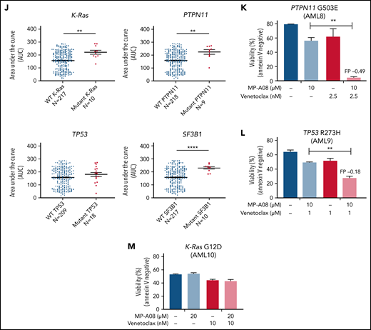 MP-A08 and venetoclax treatment exhibits antileukemic activity in primary AML samples. (A) Primary AML cells were treated with increasing concentrations of MP-A08 for 6 hours, lysed, and subjected to immunoblot analysis with indicated antibodies. (B-C) Primary AML samples were treated with MP-A08 and venetoclax for 6 hours and assessed for cell viability by Annexin V staining. Data are displayed as the mean ± range of duplicate technical replicates. Statistical significance was assessed by Student t test. *P < .05; ***P < .0005. Synergy was determined by the CI method. Fluorescence-activated cell sorting–purified iLSCs were seeded alone (D) or on an MSC coculture layer (E), treated with MP-A08 and venetoclax for 24 hours, and assessed for cell viability by Annexin V staining. Data are displayed as the mean ± range of duplicate technical replicates. Statistical significance was assessed by Student t test. *P < .05. Synergy was determined by the Webb fractional product method. (F) Normal bone marrow–derived CD34+ cells were treated with MP-A08 and venetoclax for 24 hours and assessed for cell viability by Annexin V staining. Data are displayed as the mean ± range of duplicate technical replicates. (G) Representative immunohistochemistry staining using human specific mitochondrial antibody (MTC02) of an NSG mouse sternum engrafted with primary AML cells. Bar represents 100 μm. (H-I) NSG mice were engrafted with primary AML blasts and bled weekly to confirm disease engraftment (>1% hCD45+ in peripheral blood). Mice received vehicle, MP-A08 (100 mg/kg intraperitoneally), venetoclax (75 mg/kg orally), or both daily for 2 weeks. Engraftment was quantified by assessing the percentage of human CD45+ cells in the bone marrow of recipient mice. Each symbol represents the percentage of CD45+ cells observed in a separate mouse. Significance was assessed by Student t test. (J) Mutational analysis of AML patient samples treated with venetoclax from the Beat AML Project.46 The average area under the curve (AUC) is a measure of drug sensitivity (the higher the AUC, the more resistant) derived from ex vivo drug sensitivity assays. Statistical significance was assessed by Student t test with Welch’s correction. **P < .01; ***P < .0001. (K) Primary AML samples identified by whole-exome sequencing containing PTPN11, TP53 (L), or K-Ras (M) mutations were treated with MP-A08 and venetoclax for 6 hours and assessed for cell viability by Annexin V staining. Data are displayed as the mean ± range of duplicate technical replicates. Statistical significance was assessed by Student t test. **P < .01.