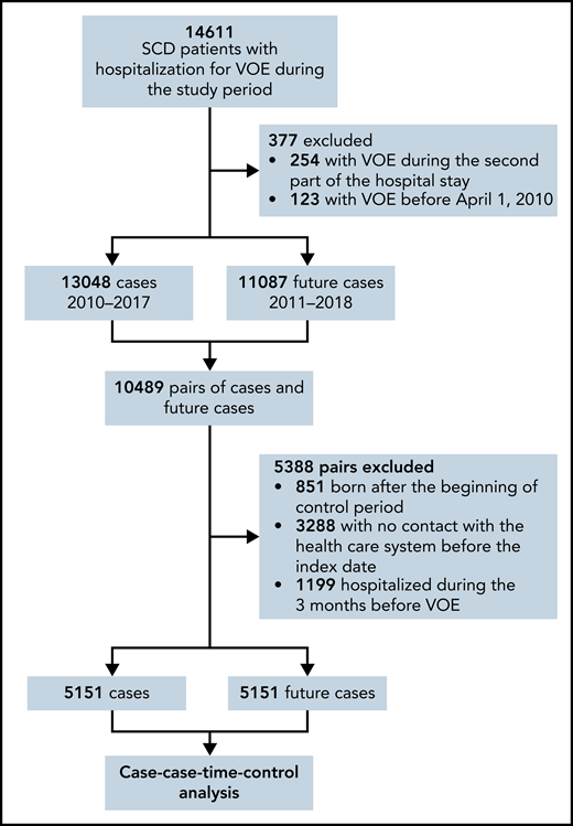 Flowchart illustrating the selection of patients for the principal analysis.