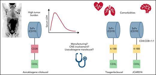 Factors for CD19 CAR T-cell product selection in large B-cell lymphoma. CNS, central nervous system; LDH, lactate dehydrogenase; ScFv, single-chain variable fragment.
