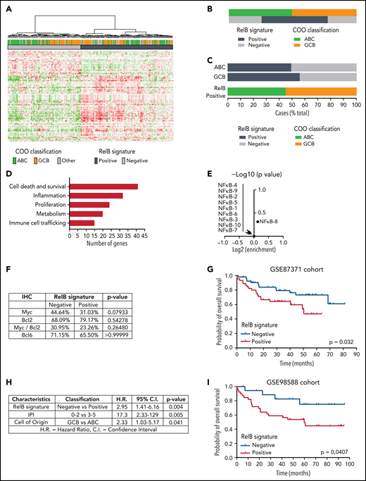 Identification of a RelB gene expression signature associated with worse outcome of patients with DLBCL treated by R-CHOP. (A) Hierarchical clustering of 202 patients with DLBCL from the GSE87371 cohort with the 140 differentially expressed probe sets identified based on RelB DNA-binding gene expression signature (supplemental Figure 2). Lines and columns of the heatmap correspond to probe sets and patients, respectively. Upregulated genes are coded in green, and downregulated genes are coded in red. COO classification of each case is represented on top of the heatmap. (B) Distribution of RelB activity as defined by GEP among patients with GCB and ABC DLBCL from the GSE 87371 cohort (n = 202). (C) Top: prevalence of RelB activation as defined by using GEP in ABC and GCB DLBCLs (n = 202). Bottom: prevalence of ABC and GCB DLBCLs within the RelB-positive cluster as defined by using GEP (n = 202). (D) RelB signature analysis by the Ingenuity Pathway Analysis software (www.ingenuity.com). (E) Volcano plot depicting the absence of enrichment of ten NF-κB signatures involved in regulatory processes in normal and malignant blood (https://lymphochip.nih.gov/signaturedb/) within the RelB-positive subset (x-axis, log2 enrichment; y-axis, log10 P value <1). P value by Fisher’s exact test. (F) Absence of correlation between Myc (cutoff ≥40%, n = 114 patients), Bcl2 (cutoff ≥50%, n = 95 patients), Myc/Bcl2 coexpression (n = 87 patients), and Bcl6 (cutoff ≥30%, n = 108 patients) as evaluated by immunohistochemistry (IHC) with the RelB gene expression signature. P value by Fisher’s exact test. (G) Kaplan-Meier plot of overall survival of the GSE87371 cohort (R-CHOP–treated patients with ABC and GCB DLBCL, n = 98), according to RelB GEP clusters. P value by log-rank (Mantel-Cox) test. (H) Multivariate analysis of the indicated risk factors for overall survival (GSE87371 cohort, R-CHOP–treated patients, n = 98) using Cox regression. IPI: International Prognostic Index. (I) Patient outcome according to RelB GEP clusters in an independent validation cohort (GSE98588, R-CHOP–treated patients with ABC and GCB DLBCL, n = 58; Chapuy et al,17 patients with available transcriptomic and clinical data). P value by log-rank (Mantel-Cox) test.