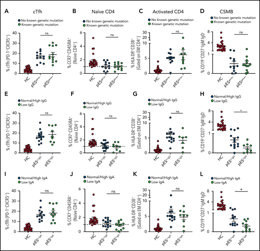Patients with pES share similar immunophenotype irrespective of genetic and immunoglobulins status. Patients with pES were categorized based on the presence or absence of genetic abnormalities. Plots showing percentage of cTfh (A), CD4+ naïve (B), CD4+ T‐cell activation (C), and CSMB (D) in 2 pES groups based on underlying genetics. Plots showing percentage of cTfh (E), CD4+ naïve (F), CD4+ T‐cell activation (G), and CSMB (H) in patients with pES with normal/high and low IgG levels. Patients with pES were also categorized based on serum IgA levels. Plots showing frequency of cTfh (I), CD4+ naïve (J), CD4+ T-cell activation (K), and CSMB (L) in patients with pES with low serum IgA or normal/high IgA levels. Data represent mean ± SEM values for each group. Mann-Whitney test for nonparametric samples and Student t test for parametric samples were performed for significance. *P < .05; ns, not significant.