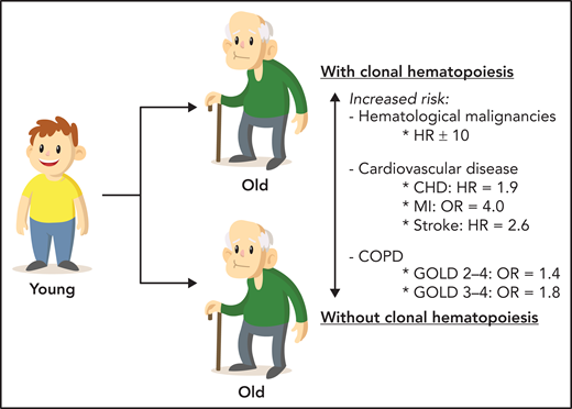 CHIP is a common age-related condition that represents a clonal prephase of hematologic neoplasms and is also an important risk factor for cardiovascular disease and COPD. CHD, coronary heart disease; MI, myocardial infarction.