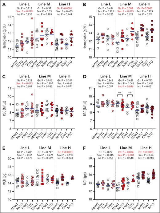 ERFE enhances hemoglobin synthesis in a dose-dependent manner. Hemoglobin levels (A-B), red blood cell (RBC) counts (C-D), and mean corpuscular hemoglobin (MCH) levels (E-F) at 6 (A,C,E) and 16 (B,D,F) weeks of age in male (M, square) and female (F, circle) WT (white symbols) and Erfe-overexpressing (TG, colored symbols) mice from line-L (white/pink), line-M (white/red), and line-H (white/dark red). Group means are indicated by blue lines, and groups within each individual line and age group were compared by using 2-way analysis of variance to determine significant effects of genotype (Gt) and sex on data variation and to identify interactions (Int) between these variables (P < .05 denoted in bold red). In the event of significant Int between Gt and sex, individual groups were compared by using Šidák’s multiple comparisons test. P ≥ .05, not significant (ns).
