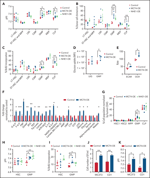 MCT4 upregulation is sufficient to induce normal cell growth. (A-C) Ex vivo pHi analysis by pHrodo Red (A), donor cell chimerism (B), and in vivo BrdU incorporation assay (C) of HSPCs in BM with MCT4 or NHE1 OE at secondary transplantation examined by FACS (n = 3-5). (D) In vivo glucose uptake in mouse HSPCs with MCT4 OE (n = 3). (E) ECAR and OCR of Lin− BM cells with MCT4 OE in vitro (n = 3). (F) In vitro intracellular metabolite profiling by GC/LC-MS showing the relative levels of metabolites in Lin− BM cells with MCT4 OE (n = 3). (G) Percentage of different subpopulations. (H) Ex vivo pHi analysis by pHrodoTM Red and (I) in vivo BrdU incorporation assay of CB HSPC in BM with MCT4- or NHE1-OE (n = 5). (J) In vitro cellular growth of MC3T3 (n = 5) and CD1 (n = 3) upon MCT4-OE. (K) In vitro pHi analysis of MC3T3 (n = 3) and CD1 (n = 3) by SNARF-1 upon MCT4-OE. *P < .05, **P < .01, ***P < .001. AMP, adenosine 5′-monophosphate; HSC, hematopoietic stem cell; UMP, uridine 5′-monophosphate.