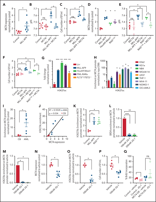 MCT4 expression is induced by AML genes via histone epigenetic modification. (A) Quantitative PCR analysis of MCT4 mRNA expression at day 3 after MLL-AF9 OE in normal LKS in vitro (n = 6). (B) In vitro pHi of normal LKS with MLL-AF9 or MLL-AF9/MCT4 KD at day 3 postinfection (n = 4). (C) In vitro cellular growth of MLL-AF9–induced LKS with scrambled or MCT4 shRNA at day 6 postinfection (n = 3). (D) FACS analysis of MCT4 protein expression in human CB CD34+ cells retrovirally induced with MLL-AF9, HoxA9-Meis1, or KRASG12D (n = 4). (E) In vitro pHi of normal CB transduced with MLL-AF9 or KRASG12D carrying scrambled or MCT4 KD at day 3 postinfection (n = 4). (F) In vitro cellular growth of MLL-AF– or KRASG12D-induced LKS with scrambled/MCT4 shRNA at day 6 postinfection (n = 4). (G) ChIP PCR analysis of enrichment of histone activation mark H3K27ac on MCT4 promoter in mouse AML (MLL-AF9, HoxA9-Meis1, PML-RARα, and FLT3ITD/TET2−/−) and normal Lin− BM cells (n = 3). (H) ChIP PCR analysis of enrichment of H3K27ac on MCT4 promoter in human leukemic cell lines (n = 3). (I) ChIP PCR analysis of enrichment of H3K27ac on MCT4 promoter in primary human AML blasts (n = 5) and CB CD34+ cells (n = 3). (J) Correlation between H3K27ac enrichment on MCT4 promoter with MCT4 expression in primary AML samples (red square; n = 5) and CB CD34+ cells (black dot; n = 3). (K) ChIP PCR analysis of enrichment of H3K27ac on MCT4 promoter in MLL-AF9– or KRASG12D-transformed CB CD34+ cells (n = 3). (L-M) BRD4 (L) and H3K27ac (M) on MCT4 promoter in MLL-AF9 AML upon JQ-1 treatment in vitro (n = 3). (N) JQ-1 treatment on MCT4 expression of primary human AML (5 individual AML patient samples). (O) JQ-1 treatment on enrichment of H3K27ac on MCT4 promoter of primary human AML (4 individual AML patient samples). (P) JQ-1 treatment on growth of primary human AML (5 individual AML patient samples). (Q) In vivo BrdU incorporation assay in THP-1 upon MCT4 OE and JQ-1 treatment (n = 4). (R) Kaplan-Meier survival analysis of mice transplanted with THP-1 upon MCT4 OE and JQ-1 treatment (n = 10). Red area indicates JQ-1 treatment. (S) NF-κB inhibitor treatment on MCT4 expression of AML cell lines and KRASG12D-transformed CB (n = 3). (T) NF-κB inhibitor treatment on H3K27ac enrichment on MCT4 promoter of AML cell lines (n = 3). (U) HAT inhibitor treatment on MCT4 expression of AML cell lines and KRASG12D-transformed CB (n = 3). (V) HAT inhibitor treatment on MCT4 expression of primary human AML (8 individual AML patient samples). *P < .05, **P < .01, ***P < .001. ns, not significant.