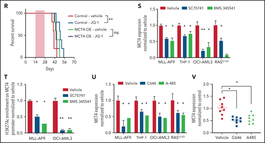 MCT4 expression is induced by AML genes via histone epigenetic modification. (A) Quantitative PCR analysis of MCT4 mRNA expression at day 3 after MLL-AF9 OE in normal LKS in vitro (n = 6). (B) In vitro pHi of normal LKS with MLL-AF9 or MLL-AF9/MCT4 KD at day 3 postinfection (n = 4). (C) In vitro cellular growth of MLL-AF9–induced LKS with scrambled or MCT4 shRNA at day 6 postinfection (n = 3). (D) FACS analysis of MCT4 protein expression in human CB CD34+ cells retrovirally induced with MLL-AF9, HoxA9-Meis1, or KRASG12D (n = 4). (E) In vitro pHi of normal CB transduced with MLL-AF9 or KRASG12D carrying scrambled or MCT4 KD at day 3 postinfection (n = 4). (F) In vitro cellular growth of MLL-AF– or KRASG12D-induced LKS with scrambled/MCT4 shRNA at day 6 postinfection (n = 4). (G) ChIP PCR analysis of enrichment of histone activation mark H3K27ac on MCT4 promoter in mouse AML (MLL-AF9, HoxA9-Meis1, PML-RARα, and FLT3ITD/TET2−/−) and normal Lin− BM cells (n = 3). (H) ChIP PCR analysis of enrichment of H3K27ac on MCT4 promoter in human leukemic cell lines (n = 3). (I) ChIP PCR analysis of enrichment of H3K27ac on MCT4 promoter in primary human AML blasts (n = 5) and CB CD34+ cells (n = 3). (J) Correlation between H3K27ac enrichment on MCT4 promoter with MCT4 expression in primary AML samples (red square; n = 5) and CB CD34+ cells (black dot; n = 3). (K) ChIP PCR analysis of enrichment of H3K27ac on MCT4 promoter in MLL-AF9– or KRASG12D-transformed CB CD34+ cells (n = 3). (L-M) BRD4 (L) and H3K27ac (M) on MCT4 promoter in MLL-AF9 AML upon JQ-1 treatment in vitro (n = 3). (N) JQ-1 treatment on MCT4 expression of primary human AML (5 individual AML patient samples). (O) JQ-1 treatment on enrichment of H3K27ac on MCT4 promoter of primary human AML (4 individual AML patient samples). (P) JQ-1 treatment on growth of primary human AML (5 individual AML patient samples). (Q) In vivo BrdU incorporation assay in THP-1 upon MCT4 OE and JQ-1 treatment (n = 4). (R) Kaplan-Meier survival analysis of mice transplanted with THP-1 upon MCT4 OE and JQ-1 treatment (n = 10). Red area indicates JQ-1 treatment. (S) NF-κB inhibitor treatment on MCT4 expression of AML cell lines and KRASG12D-transformed CB (n = 3). (T) NF-κB inhibitor treatment on H3K27ac enrichment on MCT4 promoter of AML cell lines (n = 3). (U) HAT inhibitor treatment on MCT4 expression of AML cell lines and KRASG12D-transformed CB (n = 3). (V) HAT inhibitor treatment on MCT4 expression of primary human AML (8 individual AML patient samples). *P < .05, **P < .01, ***P < .001. ns, not significant.