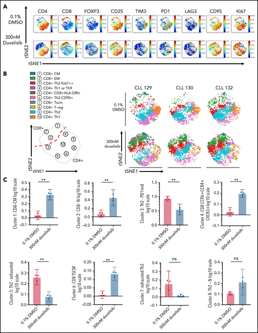 Duvelisib added during CART cell culture enriched CD8+ TSCM, naive, and central memory CD8+ CART cells and modulated CD4+ T helper cell polarization. Isolated CD3+T-cells from 3 patients with CLL were transduced with anti-CD19 CAR using a multiplicity of infection of 30 and cultured for 14 days, with or without 300 nM duvelisib, to yield control CART cells and Duv-CART cells. Mass cytometry by time of flight analysis was performed, and tSNE was used to reduce all phenotypic data into 2 dimensions, tSNE1 and tSNE2. (A) A representative viSNE plot from 1 of the 3 CLL samples analyzed. (B) Unsupervised FlowSOM showing 10 qualitative clusters. Changes in the size of a given cluster denote differences between control CART cells (0.1% DMSO) and Duv-CART cells. Th1 was defined as CD4+CXCR3+ and Th2 as GATA3+CXCR4+. (Confirmatory cytokine expression studies were not performed.) (C) Differences in levels of CART cell phenotypes assessed by CITRUS analysis. **P ≤ .01; ns, not significant. tSNE, t-distributed stochastic neighbor embedding; viSNE, visualization SNE.