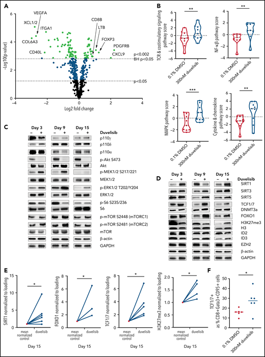 PI3K inhibition during T-cell culture–enhanced TCR and MEK/ERK signaling with alterations in epigenetic regulators that promote T-cell stemness. T cells from patients with CLL (n = 9) were cultured with or without 300 nM duvelisib administered to cultures every 3 days and were harvested after 3, 9, or 15 days of culture. Cells were stimulated with anti-CD3/CD28 beads on days 1 and 9 of culture, with day-9 samples harvested 90 minutes after restimulation with anti-CD3/CD28 beads and addition of duvelisib. Hypothesis-generating NanoString analysis was first performed and followed-up by confirmatory western blot experiments. (A) Differential expression of metabolically relevant genes in duvelisib-cultured cells compared with control cells at day 9 of culture. Changes in messenger RNA levels for 102 genes met Benjamini-Hochberg (BH) false-discovery thresholds (red). The 5 genes with the greatest fold increase or decrease are labeled. (B) Pathway scores based on gene expression levels for TCR, costimulatory, MAPK and mTOR signaling pathways. Western blot of cell lysates probing proteins related to proliferative pathways (C) and epigenetic regulatory pathways (D). Quantifications of select western blots (SIRT1, FOXO1, and TCF1/7) normalized to control (E) with ancillary flow cytometric analysis of frequencies of TCF1/7 expressing cells (F) at day 15 of culture. Results reproduced across 3 patients with CLL with quantitative results shown in the supplemental Data (supplemental Figure 5). *P < .05; **P ≤ .01; ***P ≤ .001.
