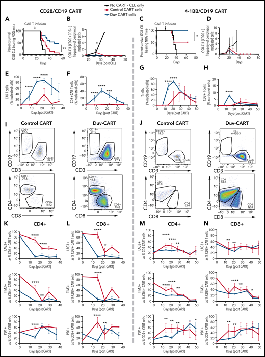 Duv-CART cells conferred a survival advantage in mice bearing intermediate disease burden OSU-CLL. OSU-CLL was engrafted in NOG mice and upon OSU-CLL (herein called CLL) reaching a mean of 1.2% (CD28/CD19) or 0.15% (41BB/CD19) of nucleated cell content, mice were treated with 1.0 × 106 control CART or Duv-CART cells on days 15 to 18. Data from anti-CD19 CART with a CD28 costimulatory domain (CD28/CD19 CART) are in the left panels, and data from anti-CD19 CART with a 41BB costimulatory domain (41BB/CD19 CART) are shown in the right panels. (A) Kaplan-Meier survival analysis of CD28/CD19 control- and Duv-CART-cell–treated mice. (B) Frequency of CLL cells in peripheral blood, defined by flow cytometry as CD20+CD5+ over time after CLL engraftment. The in vivo expansion of total CART cells (C) and CD8+ CART cells (D) over time since infusion of CART. (CART cells were gated based on expression of GFP.) (E) Representative flow cytometry plots from peak expansion (day 18 after CART infusion). (F) Kaplan-Meier survival analysis of 41BB/CD19 control- and Duv-CART–treated mice. (G) Frequency of CLL in peripheral blood, defined by flow cytometry as CD20+CD5+ over time after CLL engraftment. The in vivo expansion of total human T cells (H) and CD8+ T cells (I) over time since infusion of CART. (The secondary antibody against the 41BB CAR failed to detect the CAR, and human CD3 was therefore used as a proxy for CAR-expressing cells.) (J) Representative flow cytometry plots from peak expansion (day 21 after CART infusion). In vivo immune checkpoint expression over time for CD28/CD19 CART within the CD4+ T- cell subset (K) and CD8+ T-cell subset (L). In vivo immune checkpoint expression over time for 41BB/CD19 CART within the CD4+ T-cell subset (M) and CD8+ T-cell subset (N). *P < .05; **P ≤ .01; ***P ≤ .001; ****P ≤ .0001.