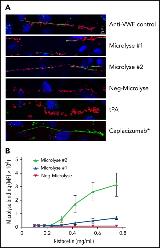Microlyse binds to VWF on the surface of cultured endothelial cells under flow. (A) Binding of Microlyse #1 and #2 (62.1 nM) to VWF on histamine-stimulated endothelial cells under flow. Endothelial cells were stained after fixation with DAPI (blue), and platelets were stained with anti-GPIbα-APC (red). VWF and Microlyse variants were stained with specific antibodies (green). tPA or caplacizumab* were coupled to Alexa488 (green). Images are representative of 3 separate experiments. (B) Binding of Microlyse variants to platelets in ristocetin-treated whole blood, determined by flow cytometry. Data represent the mean ± SD of 3 separate experiments, each performed in duplicate.