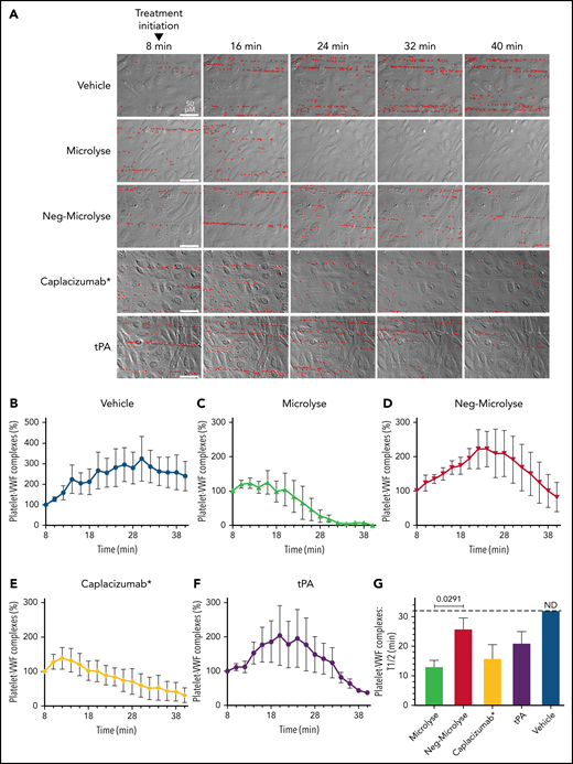 Microlyse degrades platelet-VWF strings on endothelial cells in ADAMTS13-inactivated plasma. (A) Time-lapse morphology of platelet-covered VWF strings on histamine-stimulated endothelial cells in ADAMTS13-inactivated plasma, after addition of Microlyse variants, caplacizumab*, or tPA (207 nM each). Bound platelets are highlighted in red. (B-F) Time-dependent lysis of platelet-VWF complexes. (G) Time to reach 50% breakdown of platelet-VWF complexes (ie, from treatment initiation). Data represent the mean ± SEM of 4 separate experiments. Comparisons were made by 1-way ANOVA with post hoc Dunnett's multiple comparison test.