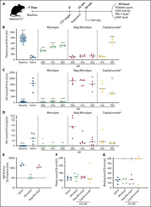 Microlyse attenuates the symptoms of acute TTP in Adamts13−/− mice. (A) Experimental setup; 7 days prior to TTP challenge, baseline characteristics (platelet counts, LDH activity, and PAI-1 levels were determined). Mice were challenged with rhVWF (2250 IU/kg). After 15 minutes, mice were IV injected with saline or treatment compounds. Experimental outcomes were determined either 15 minutes after treatment (t = 30 min; tail-clip) or 24 hours after TTP induction. (B) Platelet counts. (C) LDH activity. (D) PAI-1 levels. (E) VWF antigen levels 24 hours after administration of saline, Microlyse, or Neg-Microlyse (416 nM). (F,G) Platelet counts and bleeding times 15 minutes after administration of saline, Microlyse, or Neg-Microlyse (416 nM). Data are represented as scatterplots with medians. *P < .05, **P < .005, ***P < .0005, ****P < .0001, compared with saline by 1-way ANOVA with post hoc Dunnett’s multiple comparison test.
