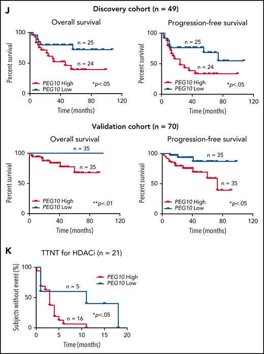 Expression and prognosis analysis of PEG10 in MF. (A) Volcano plot of upregulated (red) and downregulated (blue) DEGs (fold change ≥2 or ≤−2 and P <.05) between MF-LCT and MF-NLCT group and PEG10 gene pointed out in green color. (B) PEG10 mRNA expression in lesion-biopsied samples with different T stages of MF and MF-LCT. *P < .001, n = 110. qRT-PCR, real-time quantitative reverse transcription PCR. (C) Representative immuno-histochemical evaluation of PEG10 on lesion-biopsied samples from MF-LCT and MF-NLCT patients, IgG isotype controls serve as negative controls. Original magnification ×200, insets ×400, scale bar = 50 μm. (D) Immunofluorescence (IF) costaining of PEG10 (red) and CD3 (green) on a lesional biopsy specimen of tumor-stage MF-LCT. Pautrier’s microabscess pointed out with a dashed line circle. (E,F) IF costaining of PEG10 (red) and TOX (green). (E) PEG10 (red) and Ki-67 (green). (F) On lesional biopsy specimens of tumor-stage MF-LCT. DAPI (blue) used to visualize cell nuclei. Original magnification x400, scale bar = 25 μm. (G) The structure of PEG10 coding sequence (CDS) and protein isoforms. (H,I) PEG10 mRNA (H) and protein (I) expression levels among 7 CTCL lines and CD4+ T cells from normal controls (NCD4+). (J) OS and PFS of MF patients stratified by PEG10 expression from a discovery cohort of 49 RNA-seq samples and validation cohort of extended 70 MF samples via Kaplan-Meier survival analysis. (K) TTNT for HDACis in PEG10-low and PEG10-high patients via Kaplan–Meier analysis (n = 21 treatment episodes). **P < .05; ***P < .01.