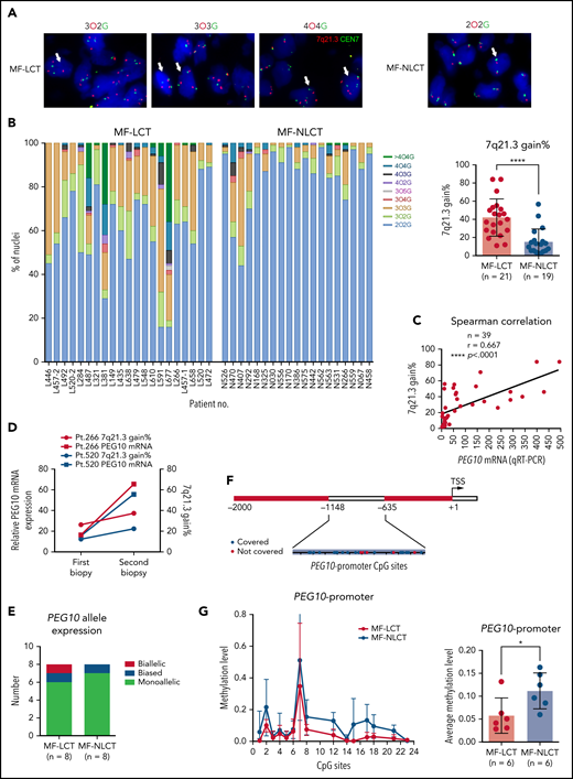 Ectopic PEG10 expression in MF-LCT is linked to genetic gains of 7q21.3, promoter demethylation, and loss-of-imprinting of PEG10. (A) Representative tissue FISH images of 3 main amplification patterns of 7q21.3 in MF-LCT and a diploid case in MF-NLCT. O: 7q21.3; G: CEN7. (B) FISH enumeration results of skin-biopsied samples from MF-LCT(n = 21) and MF-NLCT(n = 19) patients. Percentages (%) of nuclei with 7q21.3 gain (O >2) in these 2 groups are shown on the right panel. *P < .0001. (C) Spearman correlation between PEG10 mRNA expression and percentages of nuclei with 7q21.3 gain in MF lesions. n = 39, r = 0.667, **P < .0001. (D) PEG10 mRNA expression and percentages of nuclei with 7q21.3 gain before and after disease progression in 2 MF patients. Pt, patient. (E) PEG10 allelic expression patterns in MF-LCT (n = 8) and MF-NLCT (n = 8) samples from RNA-seq data. (F) Schematic description of the detected CpG sites at PEG10 promoter region. (G) Quantitative methylation analysis on CpG sites at PEG10 promoter region among MF-LCT group (n = 6) and MF-NLCT group (n = 6). Average PEG10 promoter methylation levels of each sample are shown on the right panel. Methylation level 1 represents 100% methylated CpG dinucleotides on this site.