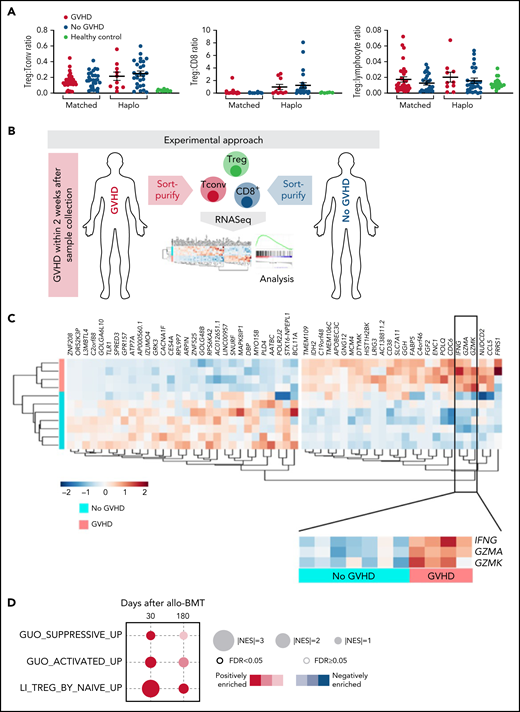 Preserved Treg cell numbers and function in patients developing aGVHD after posttransplant cyclophosphamide. aGVHD is characterized by preserved hallmarks of Treg functionality. (A) aGVHD after PTCy is not associated with loss of Treg/effector T cell balance. In both HLA-matched donor (MD) and haplo-BMT, Treg ratios are preserved at day 28 after transplantation, irrespective of aGVHD development. (B-D) GVHD and GVHD-free matched donor alloBMT patient samples were collected on day 28 and day 180 and processed for RNA-Seq analysis of lymphocyte subsets, including CD8+ T cells, conventional T cells (Tconv), and Treg. (B) Experimental workflow schema. (C) Tregs arising during post-PTCy aGVHD upregulate genes essential for Treg function. Hierarchical clustering analysis shows the top 60 differentially regulated genes between Tregs isolated from aGVHD (n = 4) and GVHD-free patients (n = 7) at day 28. IFNG and cytolytic effectors GZMA/GZMK, essential for Treg function, are highlighted in patients with aGVHD. (D) Enrichment analysis of Tregs on day 28 and day 180 from patients with aGVHD prior to aGVHD onset and after aGVHD control shows significant and positive enrichment for gene signatures identified as defining highly suppressive Tregs, with this phenotype persisting after aGVHD resolution.