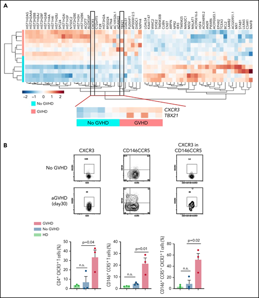 Upregulation of transcriptional activation markers in effector T cell subsets before aGVHD onset after posttransplant cyclophosphamide. Tconv but not CD8+ T cell changes support selective role for CD4+ T cells in aGVHD after PTCy. Analysis of DEGs in Tconv identifies proinflammatory skewing that proceeds aGVHD occurrence. (A) Hierarchical clustering of significantly regulated genes identified in Tconv RNA-Seq (aGVHD n = 6; GVHD-free n = 6) shows a greater differential regulation of gene expression with an enhancement of type 1 interferon response and Th1 skewing is the cohort of patients with aGVHD. (B) CXCR3, a key receptor for CXCL9, is upregulated on circulating allogeneic Tconv prior to the development of clinical post-PTCy breakthrough GVHD. Matched donor alloBMT patient samples were analyzed by flow cytometry for expression of CXCR3 on Tconv, including the Th17-prone CD146+CCR5+ subset. Representative flow cytometry panels are shown. (C) Gene set enrichment analyses validate Tconv and CD8+ T cell activation during aGVHD, but not enhanced activity of Notch and IL-6/JAK/STAT pathways that have been associated in other studies with pathogenic alloresponse. Tconv (red) and CD8+T cells (blue) analyses were performed using GSEA and Hallmark and c7 (immunologic signature) datasets from the MSigDb. (D) Transcriptional exhaustion is not associated with GVHD protection. Custom GSEA was performed using deposited datasets defining transcriptional hallmarks of functional T cell subsets. aGVHD development was associated with Tconv activation and loss of naïve signature. (E,F) Development of operational tolerance after PTCy is not associated with the acquisition of transcriptional exhaustion signature in CD8+T cells or Tconv, but enhanced emergence of naïve effector T cell phenotypes. Comparative GSEA of day 180 CD8+T cells (E) and Tconv (F) gene expression signatures from GVHD-free patients shows persistent lack of enrichment for exhaustion with progressive evolution of naïve phenotype, suggestive of evolving immune reconstitution.