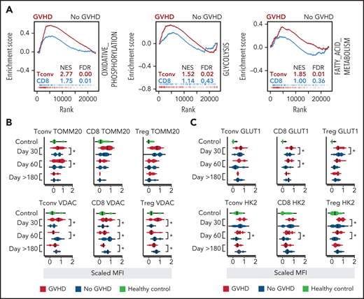 Enhanced metabolic signature in effector Tconv cells precedes breakthrough GVHD after posttransplant cyclophosphamide. Metabolic hallmarks of aGVHD after PTCy further the role for Tconv in the process. (A) GSEA using hallmark datasets from the MSigDb highlights dominantly enhanced metabolic signatures, including OXPHOS, Glycolysis, and fatty acid metabolism in Tconv (red) over CD8+T cells (blue) in matched donor alloBMT patients developing aGVHD. (B-C) Hallmarks of augmented metabolic function in aGVHD are seen in Tconv recovered from aGVHD patients early before disease development (aGVHD n = 8; GVHD-free n = 7; healthy control n = 6). (B) Expression of TOMM20 (essential for import and assembly of respiratory chain complexes) and VDAC (mitochondrial porin essential for OXPHOS and glycolysis coupling), and (C) GLUT1, a key glucose transporter, and hexokinase 2, an enzyme catalyzing glucose phosphorylation, was quantified in patient samples at defined time points after alloBMT. Cumulative scaled MFI data for all time points and heatmap highlighting individual patient changes on day 28 is shown.