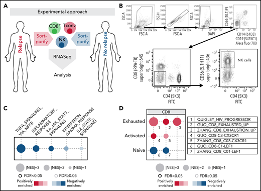 Dampened NK inflammatory signaling and CD8+ T cell exhaustion precedes early relapse after posttransplant cyclophosphamide allogeneic BMT. The transcriptional landscape of NK cells CD8+ T cells in haploidentical alloBMT suggests development of effector function paralysis in relapse. Experimental workflow schema (A) and flow cytometry sort strategy (B) are shown. (C) Gene set enrichment analyses identified loss of inflammatory signatures in NK cells isolated from haplo alloBMT recipients who relapsed, with a dominant effect on TNF-α signaling. Analyses were performed using GSEA and hallmark dataset from the MSigDb (relapse n = 5; relapse-free n = 8). (D) Emergence of transcriptional exhaustion in haplo alloBMT CD8+ T cells also proceeded primary disease relapse. Custom GSEAs were performed using deposited datasets defining transcriptional hallmarks of functional T cell subsets. Subsequent development of disease relapse was positively associated with the acquisition of exhaustion and progressive loss of naïve CD8+ T cell phenotypes, suggesting impaired immune reconstitution (relapse n = 5; relapse-free n = 5).