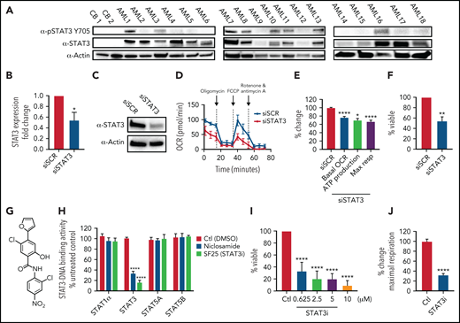 STAT3 is expressed in primary AML cells and plays a role in OXPHOS. (A) Western blot showing total and phosphorylated STAT3 levels in mononuclear cells derived from 2 cord blood (CB) and 18 human primary AML samples. (B) qPCR showing mRNA expression levels of STAT3 in 3 primary AML samples treated with scramble siRNA (siSCR) control or siRNA against STAT3 (siSTAT3) after 48 hours of culture. (C) Western blot showing STAT3 protein levels 48 hours after transfection of siSTAT3 compared with siSCR. (D) Seahorse Cell Mito Stress Test showing OCR at the time of highest STAT3 knockdown (24-48 hours) of a representative primary AML sample. (E) Combined data showing changes in basal OCR, ATP production, and maximal respiratory capacity in 4 primary AML samples, including sample 1D, upon STAT3 inhibition by siRNA. (F) Viability assay of STAT3-deficient cells compared with scramble control (siSCR) after 60 hours in culture (48 hours of siRNA KD plus 12 hours of viability). (G) Structure of the salicylamide STAT3 inhibitor SF25 (STAT3i). (H) Cell-based ELISA performed in HeLa cells showing cellular STAT1α, STAT3, STAT5A, and STAT5B binding to an immobilized DNA consensus sequence in the presence or absence of STAT3i as well as niclosamide. (I) Viability assay in 8 primary AML samples treated with various doses of STAT3i for 24 hours compared with vehicle control. (J) Maximal respiratory capacity changes based on Seahorse Cell Mito Stress Test in 3 primary AML samples upon treatment with 5 μM of STAT3i for 4 hours compared with vehicle control. Statistical analyses were performed using the Student t-test. P values are represented as follows: *P ≤ .05; **P ≤ .01; ***P ≤ .001; ****P ≤ .0001.