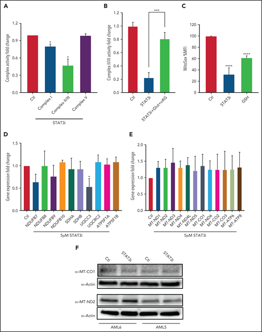 STAT3 regulates ETC activity of LSCs. (A) Bar graph representing complex activity of complexes I, II/III, and V in 3 primary AML samples after treatment with 5 μM STAT3i or vehicle control for 4 hours. (B) Complex II/II activity of 3 primary AML samples treated with 5 μM STAT3i or vehicle control for 4 hours. Cells were incubated on metabolomics media or in the presence of 4 mM glutamine and 4 mM cell-permeable α-KG. (C) Mitochondrial ROS as measured by flow cytometry in LSCs isolated from 3 primary AML samples and treated with 5 μM of STAT3i for 4 hours compared with vehicle control; 4 μM of cell-permeable GSH was used as positive control. (D) qPCR showing gene expression of ETC complex genes in LSCs isolated from 3 primary AML samples and treated with 5 μM of STAT3i for 4 hours or vehicle control. (E) Gene expression from RNA sequencing of mitochondrial genes in LSCs treated with 5 μM of STAT3i for 4 hours or vehicle control (n = 4). (F) Western blot showing protein levels of MT-CO1 and MT-ND2 in LSCs treated with or without 5 μM of STAT3i for 4 hours. Statistical analyses were performed using the Student t-test. P values are represented as follows: *P ≤ .05; **P ≤ .01; ***P ≤ .001; ****P ≤ .0001.