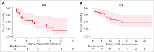 Survival of patients with Richter syndrome with VR-EPOCH. (A) PFS in all 26 patients who received any study therapy. (B) OS in all 26 patients who received any study therapy.