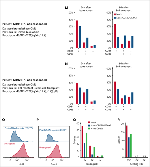 MS4A3 enhances GM-CSF/IL-3-induced receptor endocytosis, signaling, and differentiation in primary CML CD34+ cells. (A) Experimental outline of primary CML sample analyses. Both Lv-MS4A3-OE and Lv-dox-shMS4A3 carry GFP to mark transduced cells. GFP- cells are untransduced internal assay controls in the same samples, receiving the same treatment and analyses. Untransduced cells in both groups are combined for analysis. BIT supplement (BIT9500) contains BSA, human insulin, and human transferrin-Fe. StemSpan (CC100) is a cytokine cocktail for HSC and progenitor expansion. (B,C) Flow cytometry analysis of GM-CSF-induced CD116 endocytosis in CML CD34+ cells (n = 3). (D-E) Intracellular phospho-kinase staining of CML CD34+ cell cultures after GM-CSF and IL-3 stimulation for 30 minutes (n = 6). (F) Relative abundance of CD34+ and CD34- cells in the single cytokine pulsing differentiation assay (n = 3). (G) Colony formation of CML CD34+ cells with or without GM-CSF/IL-3-induced differentiation (n = 3). (H) Illustration of the nanoparticle targeting strategy. (I) Size distribution of the manufactured MS4A3 nanoparticles. Sizes are calculated from a standard curve made by a series of microbeads of known sizes. (J) Contour plot of MS4A3 nanoparticles (EGFP+) carrying CD34 ligand, CD62L. (K) Delivery and retention of MS4A3-EGFP by CD62L-coated nanoparticles, as tested in CD34+ Kasumi-1 cells. (L) Experimental design for testing the effect of nanoparticle-based MS4A3 delivery. (M,N) Proportions of various cell types in stem cell cultures with indicated treatments. (O-P) Flow cytometry detection of CD34 level on groups of cells after indicated treatments. (Q-R) Colony-forming capability of stem cells after indicated treatments.