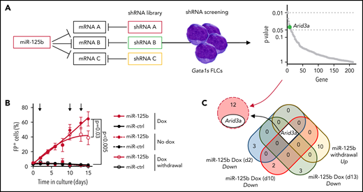 shRNA-based positive selection screening in combination with RNA-seq identifies miR-125b targets that synergize with Gata1s. (A) shRNA+ selection screening, in which a pool of shRNAs directed against miR-125b target genes was used to mimic the effect of miR-125b (left). Dot plot showing significantly enriched shRNA-targeted genes (right). Significance was defined as P < .05 (n = 12). Arid3a is highlighted in green. (B) The percentage of Gata1s FLCs expressing doxycycline-regulated miR-125b or miR-ctrl upon addition and removal of doxycycline (500 ng/mL). Arrows indicate time points used for gene expression analysis. Data are the mean ± standard error of the mean (n = 4, paired Student t test). FP+, fluorescent protein positive. (C) Venn diagram of differentially expressed genes after miR-125b modulation (compared with miR-ctrl), overlapping with the 13 enriched genes from the shRNA+ selection screen in panel A.