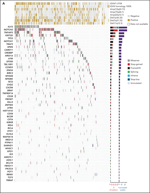 Mutation landscape of SMZL. (A) The heatmap shows genes mutated in ≥1% of SMZL cases. In the heatmap, each row represents a gene, and each column represents an SMZL case. The heatmap is manually clustered to emphasize mutational cooccurrence. The number and type of somatic mutations in any given gene are plotted in the histogram on the right of the heatmap. On the top of the heatmap are shown the cytogenetic and immunogenetic features for each SMZL sample. (B) The heatmap shows pairwise Pearson correlation coefficients between each pair of genes mutated in SMZL. Red cells indicate a positive correlation, blue cells indicate a negative correlation. (C) Pathways that are recurrently mutated in newly diagnosed SMZL. In the heatmap, rows correspond to genes, and columns represent individual patients. Color coding is based on gene alteration status (gray, wild type; red, mutated). The heat map was manually clustered to emphasize mutational cooccurrence.