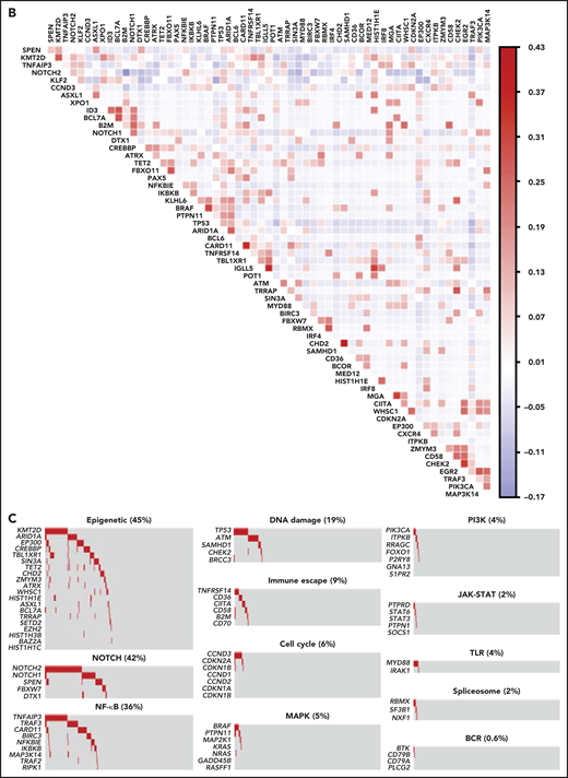 Mutation landscape of SMZL. (A) The heatmap shows genes mutated in ≥1% of SMZL cases. In the heatmap, each row represents a gene, and each column represents an SMZL case. The heatmap is manually clustered to emphasize mutational cooccurrence. The number and type of somatic mutations in any given gene are plotted in the histogram on the right of the heatmap. On the top of the heatmap are shown the cytogenetic and immunogenetic features for each SMZL sample. (B) The heatmap shows pairwise Pearson correlation coefficients between each pair of genes mutated in SMZL. Red cells indicate a positive correlation, blue cells indicate a negative correlation. (C) Pathways that are recurrently mutated in newly diagnosed SMZL. In the heatmap, rows correspond to genes, and columns represent individual patients. Color coding is based on gene alteration status (gray, wild type; red, mutated). The heat map was manually clustered to emphasize mutational cooccurrence.