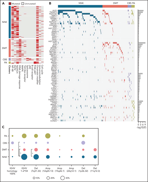 Pathway-driven clustering of SMZL mutations. (A) Heatmap showing SMZL mutations collapsed into pathways and clustered using HCPC in the SMZL cohort. (B) Heatmap showing genes entering the clustering analysis. The genes are color-coded according to the assigned cluster and ordered according to the relative enrichment in the specific cluster represented as a bar on the right. Only genes with mutation rate >0.01 are shown. (C) The heatmap shows the enrichment of IGHV mutational status and recurrent CNA in the molecular clusters. Size and color intensities of the circles are proportional to the prevalence of each variable in the molecular cluster. The asterisk shows statistical significant differences (Fisher’s exact test P < .05).