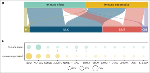 Resolution of the tumor microenvironment by gene expression analysis. (A) Heatmap of scaled activity score values related to microenvironment signatures. HCPC clustering reveals 2 major microenvironment classes (“immune-suppressive” and “immune-silent”) in the SMZL cohort. The differential expression of the microenvironment signatures is also represented as density plots on the right. (B) Alluvial plot showing sample distribution among microenvironment classes and mutational clusters. (C) The heatmap shows the percentages of patients mutated for the top mutated genes in the 2 microenvironment classes. Size and color intensities of the circles are proportional to the prevalence of each variable in the microenvironment class. The asterisk shows statistical significant differences (Fisher’s exact test P < .05).