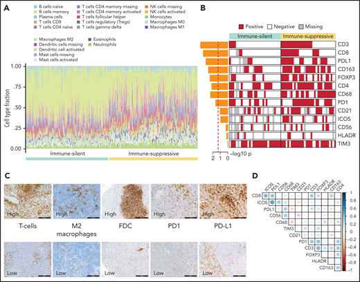 Orthogonal validations of the microenvironment composition. (A) Digital cytometry experiments. Gene expression data were used to infer the cell composition (covering 22 hematopoietic cellular populations) of spleen tissues. Staked barplots represent the individual cell compositions (scaled to a total of 100%). Samples (on the x-axis) are ordered according to the 2 major microenvironment classes. (B) The heatmap shows the distribution of selected TMA markers across the 2 microenvironment classes. A red color indicates the positivity of the marker, a white color indicates the negativity of the marker, and gray color indicates missing data. The barplot on the left shows the -log10P value of a 1-sided Fisher’s exact test between the 2 classes for each marker. (C) CD3 (T cell), CD163 (M2 macrophages), CD21 (FDC), PD1, PDL1 expression in TMA cores from SMZL spleen section. (D) The heatmap shows pairwise Pearson correlation coefficients between TMA markers. Red cells indicate negative correlation, and blue cells indicate positive correlation.