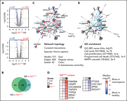 Transcriptional profile of the NKimm-cell repertoire: dysregulation of the proliferation and apoptosis machinery. RNA sequencing of the NK-cell compartment. (A) There were 152 DE genes in the HD and NKimm groups combined (105 upregulated and 47 downregulated) and 107 DE genes in the NP and NKimm groups combined (62 upregulated and 45 downregulated) after filtering for log2 FC > 1.2. (B) Venn diagram displaying the shared DE genes between NKimm/HD and NKimm/NP groups. (C) Topology and content of the protein-protein interaction network driven by shared DE genes in CD56+ NK cells of the NKimm group. (D) Heat maps illustrating median log2-fold change in expression of NKimm-unique genes identified by cross-referencing shared DE genes in panel B to DE genes in HD NK cell/CD56bright NK-cell controls. (E) Query of NKimm-unique seeds and related nodes (blue) in the PPI network that, when identified in GO biological processes are highlighted (teal). HD (n = 4), NP (n = 8), and NKimm (n = 7). DE, differentially expressed.