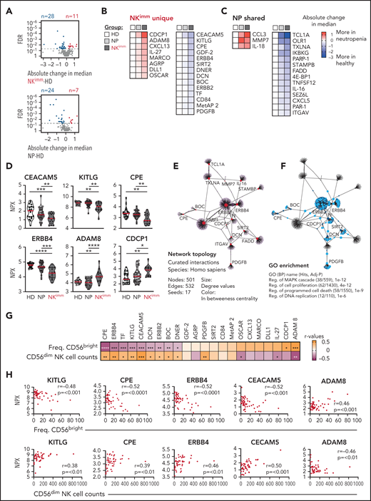 Plasma protein profile in NKimm group suggests cell turnover, apoptosis, and immune regulation. Analysis of 249 plasma proteins by proximity extension assay (Olink). (A-C) Levels of 39 proteins differed significantly in the NKimm group compared with the HD group (nonparametric testing, Benjamini-Hochberg false discovery rate <.05) of which 22 were NKimm unique and 17 were shared with the NP group. (D) Raw normalized protein expression values for selected proteins. (E) Topology and content of the protein-protein interaction network driven by significant plasma proteins (seeds) in the NKimm group. (F) Query of NKimm-unique seeds and related nodes (blue) in the PPI network, that, when identified in Gene Ontology (Biological Processes), are highlighted (teal). (G) Spearman rank correlations for NKimm-defining parameters and plasma protein data for the 22 uniquely altered proteins in this group. (H) Raw plots for top correlating proteins. HD (n = 19-20), NP (n = 36-38), and NKimm (n = 14). Data in the heat maps in panels B and C are depicted as absolute change in median compared with the HD median. *P < .05; **P < .01; ***P < .001; ****P < .0001, by nonparametric test.