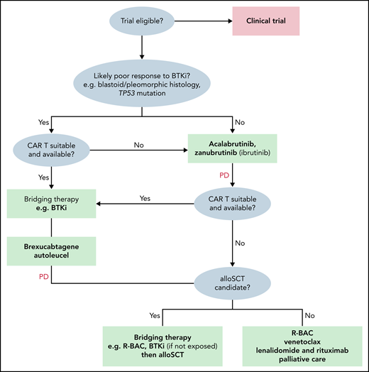 Treatment algorithm for patients with R/R MCL.