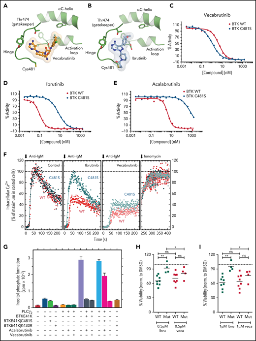 Vecabrutinib is a noncovalent BTK inhibitor that inhibits C481S mutant BTK. Crystal structure showing binding of vecabrutinib (A) and ibrutinib (B) to the active site of BTK. Inhibition of kinase activity of WT and C481S mutant BTK by vecabrutinib (C), ibrutinib (D), and acalabrutinib (E), as measured by a direct kinase assay. Data in (C) and (D) are averages of 3 biological replicates (supplemental Figure 3A-B). (F) Changes in BCR-mediated increases in cytosolic Ca2+ in BTK−/− DT40 cells reconstituted with WT or C481S mutant BTK treated with vecabrutinib or ibrutinib. (G) Changes in inositol phosphate formation in COS-7 cells coexpressing PLCγ2 and BTK E41K, its ibrutinib-resistant variant BTK E41K|C481S, or its kinase-dead variant BTK E41K|K430R, following treatment with vehicle, vecabrutinib, or acalabrutinib. Data in (F-G) are representative of 3 biological replicates. Analysis of changes in cell viability of WT BTK (n = 8) and C481S BTK mutant (n = 4) primary CLL cells, as measured by DiOC6/PI staining and flow cytometry, after 4 days of treatment with 0.5 µM (H) and 1 µM (I) ibrutinib (Ibru) or vecabrutinib (Veca). Dashed line in (H-I) indicates normalization to dimethyl sulfoxide. P values for WT BTK vs C481S BTK mutants were calculated using a Mann-Whitney U test, whereas P values for comparison of treatments between paired samples were calculated using a paired Student t test. *P ≤ .05, **P ≤ .01. Mut, mutant; ns, not significant (P > .05); WT, wild-type.