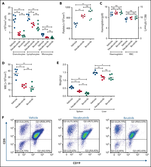 Assessments of activity relative to vehicle control following treatment with vecabrutinib or ibrutinib in the murine Eμ-TCL1 model. Differential cell counts for granulocytes, lymphocytes, and monocytes (A), platelet count (B), red blood cells (RBC) and hemoglobin levels (C), WBC count (D), and spleen and liver weights (E) upon BTK inhibitor treatment vs vehicle for 10 days. (F) Representative flow cytometry plots showing changes in the CD19+CD5+ population in spleen. (G) Change in tumor load (percentage of CD19+CD5+ cells) in blood, spleen, and bone marrow (G) and absolute number of CD19+CD5+ tumor cells per spleen (H). (I) Representative flow cytometry plots showing relative changes in Ki67-expressing tumor cells. (J) Tumor cell proliferation in blood, spleen, and bone marrow. *P ≤ .05, **P ≤ .01, Mann-Whitney U test. ns, not significant (P > .05).